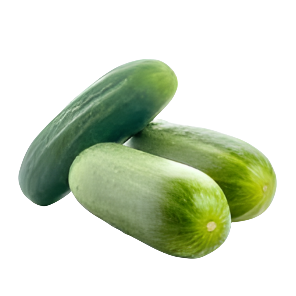 Regular Cucumber 1 pc buy online USA - 1